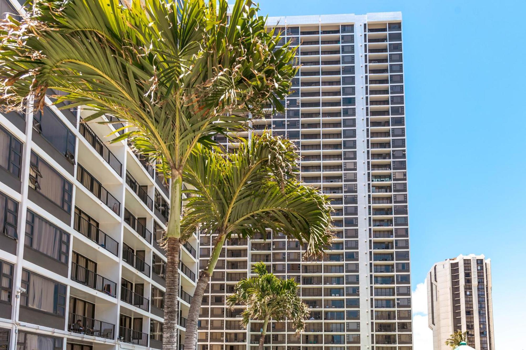 Renovated Ocean View Suite, Near Beach, Free Parking هونولولو المظهر الخارجي الصورة